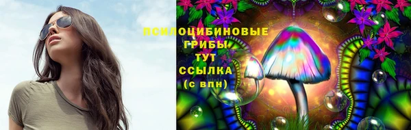 а пвп мука Зеленодольск