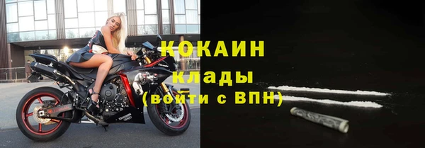 кокс Инсар