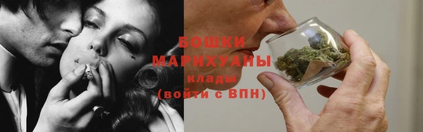 винт Инта