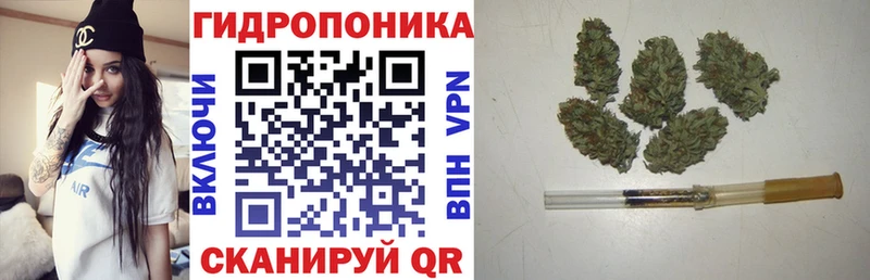 Шишки марихуана AK-47  Купить закладки  Кашин 
